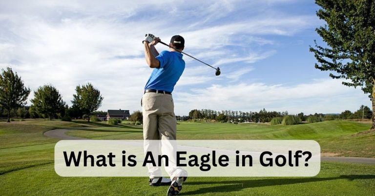 what is an eagle in golf?