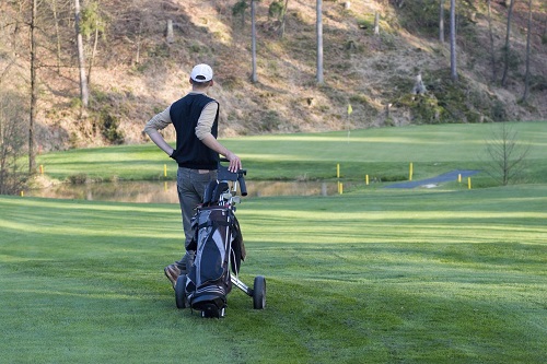 III. Importance of Golf Course Water Hazards
